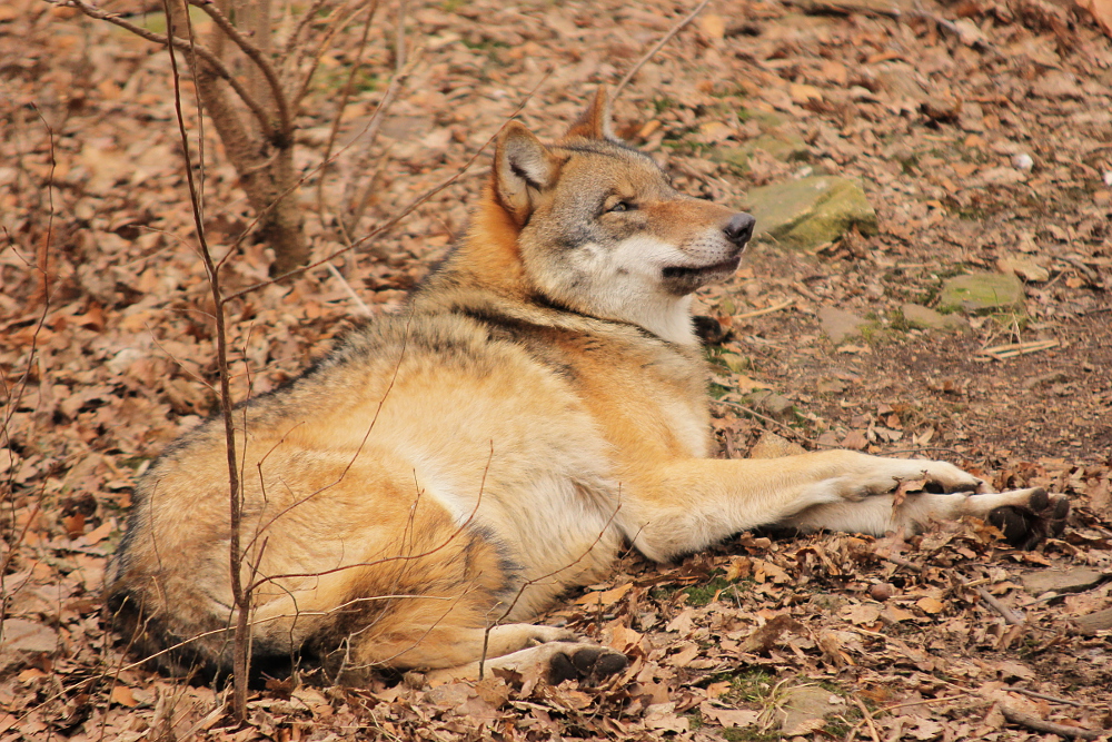 Moritzburg1402Elli_Lilly-21