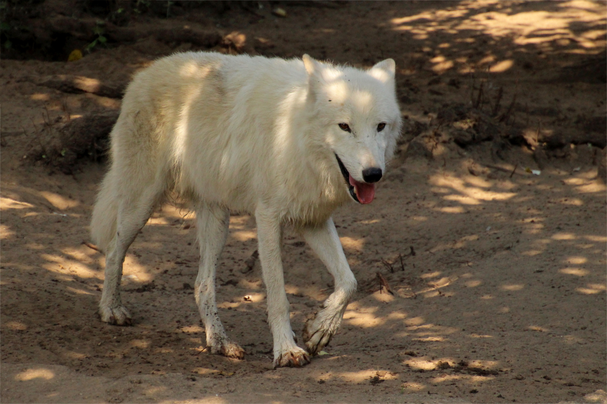 ZooBerlin1408LinaT_all-20