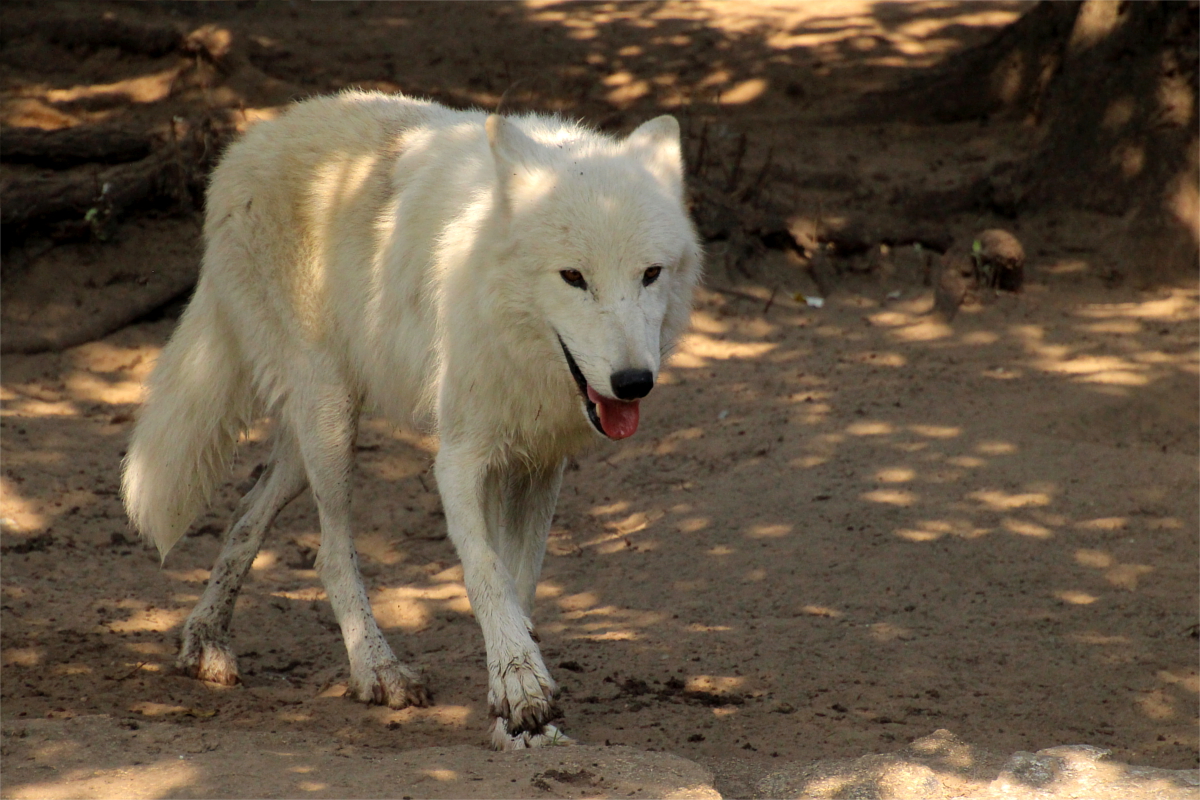 ZooBerlin1408LinaT_all-21