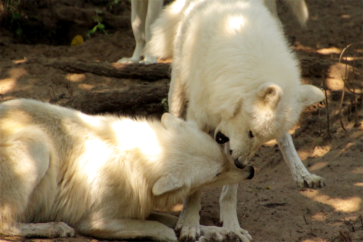 ZooBerlin1408LinaT_all-27