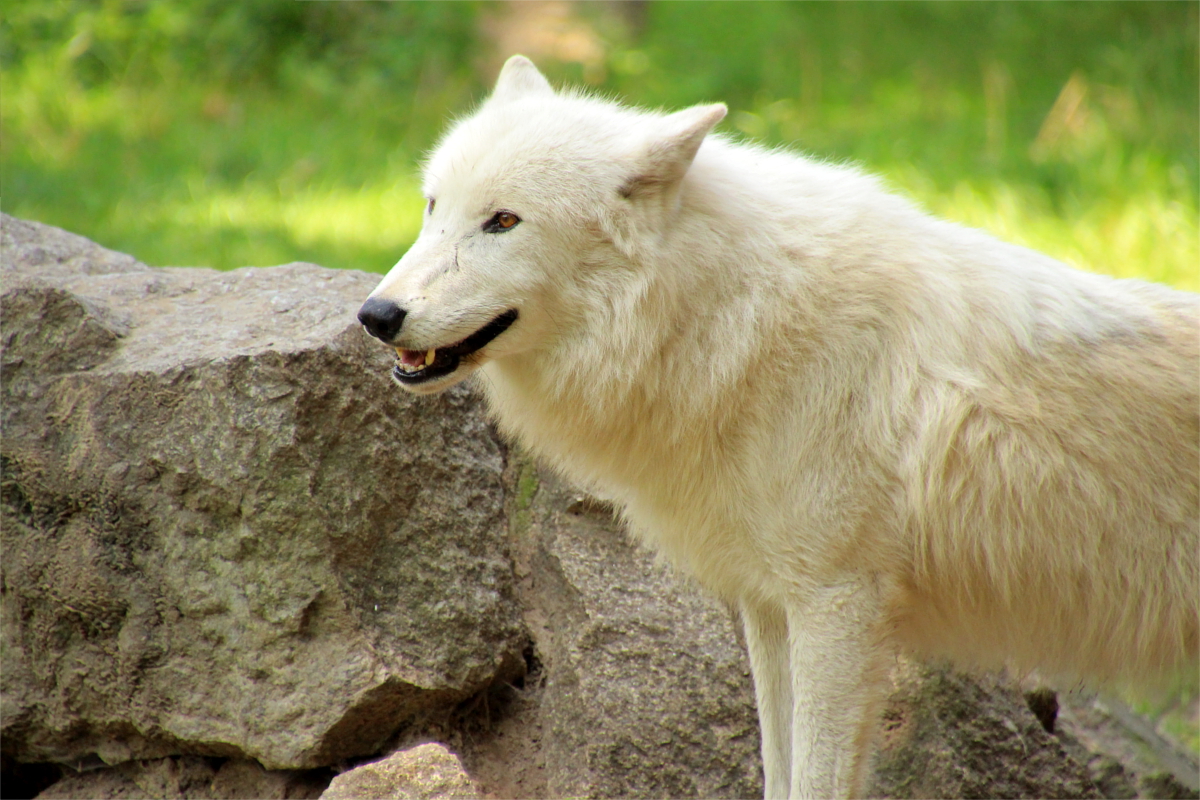 ZooBerlin1408LinaT_all-33