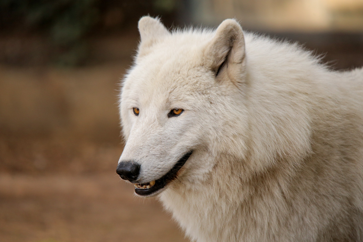 ZooBerlin1704LinaT_all-31