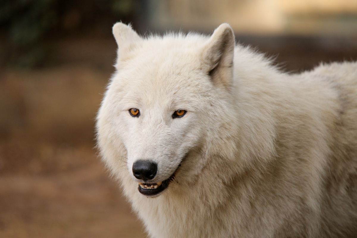 ZooBerlin1704LinaT_all-32