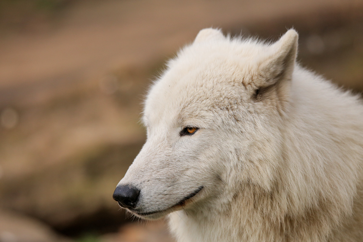 ZooBerlin1704LinaT_all-37