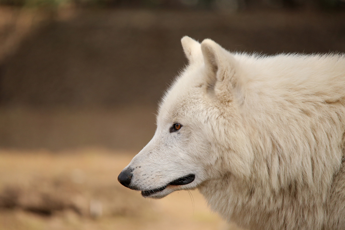 ZooBerlin1704LinaT_all-46