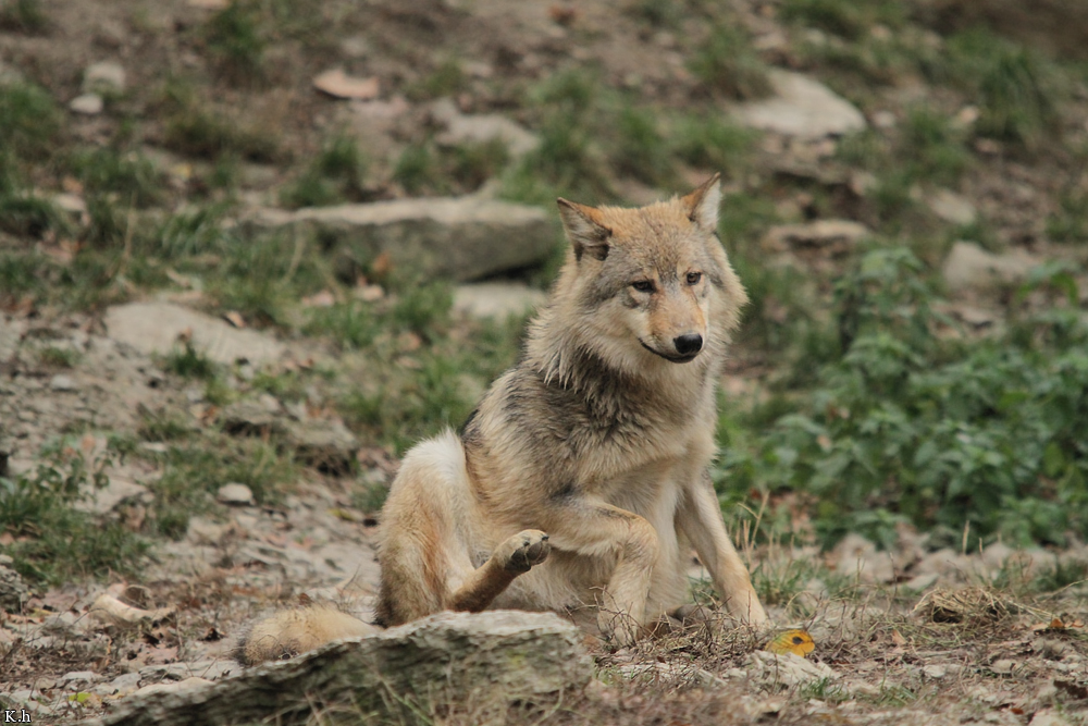 Pup6m11MergentheimKati_sand-02