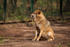 Berlin1604LinaT-Rinda-14