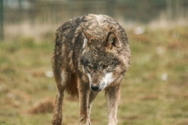 Tierpark Gotha