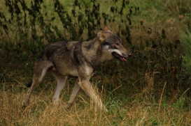 Eekholt1407LinaT_Alex-01