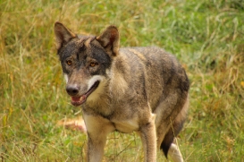 Eekholt1407LinaT_Alex-09