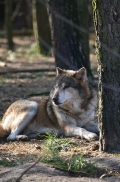 Schorfheide1203BineG_All-06
