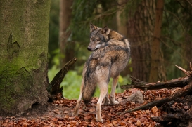 SchwBerge1512LinaT_Dunja-04