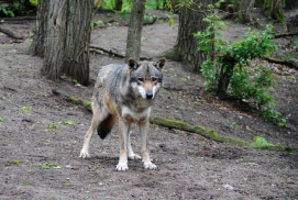 Verden1405LinaT_all-19
