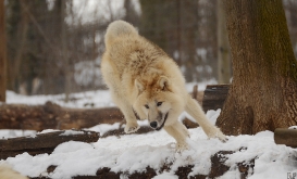 Schoenbrunn1301Ria_Unnamed-05