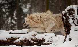 Schoenbrunn1302Ria_Unnamed-02