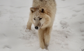 Schoenbrunn1302Ria_Unnamed-06