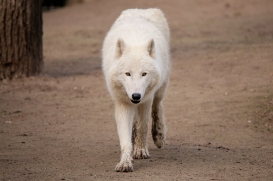 ZooBerlin1704LinaT_all-06