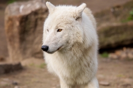 ZooBerlin1704LinaT_all-07