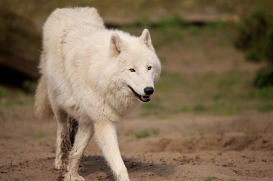 ZooBerlin1704LinaT_all-11