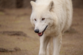 ZooBerlin1704LinaT_all-13