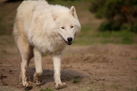ZooBerlin1704LinaT_all-14