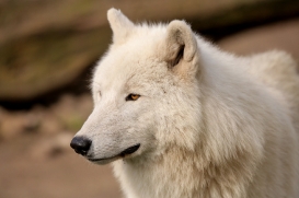 ZooBerlin1704LinaT_all-16