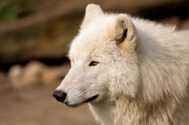 ZooBerlin1704LinaT_all-17