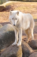 Zoo Eberswalde