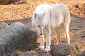 Zoo Eberswalde