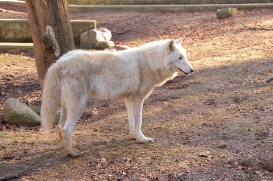 Zoo Eberswalde