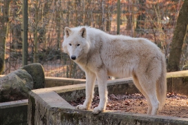 Zoo Eberswalde