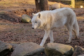 Zoo Eberswalde