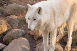 Zoo Eberswalde