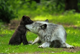 Pup2m13GelsenkirchenKati_Fem-24