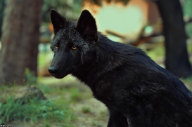 Pup3m10LueneburgKati_Bo-03