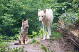 Pup3m1707Lueneburg-BineG_All-04
