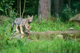 Pup3m1707Lueneburg-BineG_All-05
