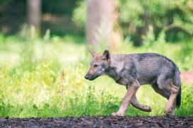 Pup3m1707Lueneburg-BineG_Petja-02