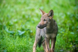Pup3m1707Lueneburg-BineG_Vasja-10