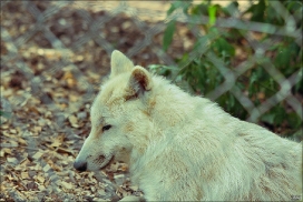 Pup3m10LueneburgKati_Naa-06
