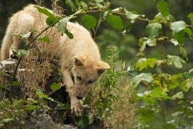 Pup3m13DuisburgKati_14
