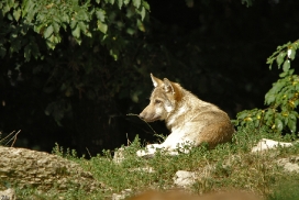 Pup4m11MergentheimKati_two-01