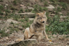 Pup6m11MergentheimKati_sand-02