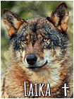 Laika